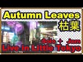 枯葉　Autumn Leaves Solo Guitar + Jam Ginza USA gifts and music LA Little Tokyo, Japanese Vinyl Records