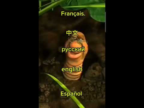 Wise Worm мудрый червь 智慧虫 Gusano Sabio 