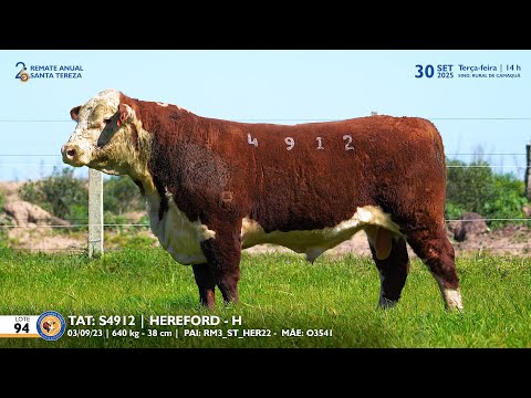 LOTE 94 TAT TES4912 HEREFORD Est  Sta Tereza