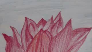 Rare Gem Series Kamalapthakula