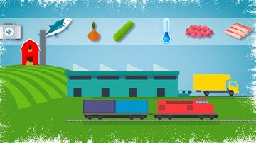 What is the Cold Chain?  | FSI