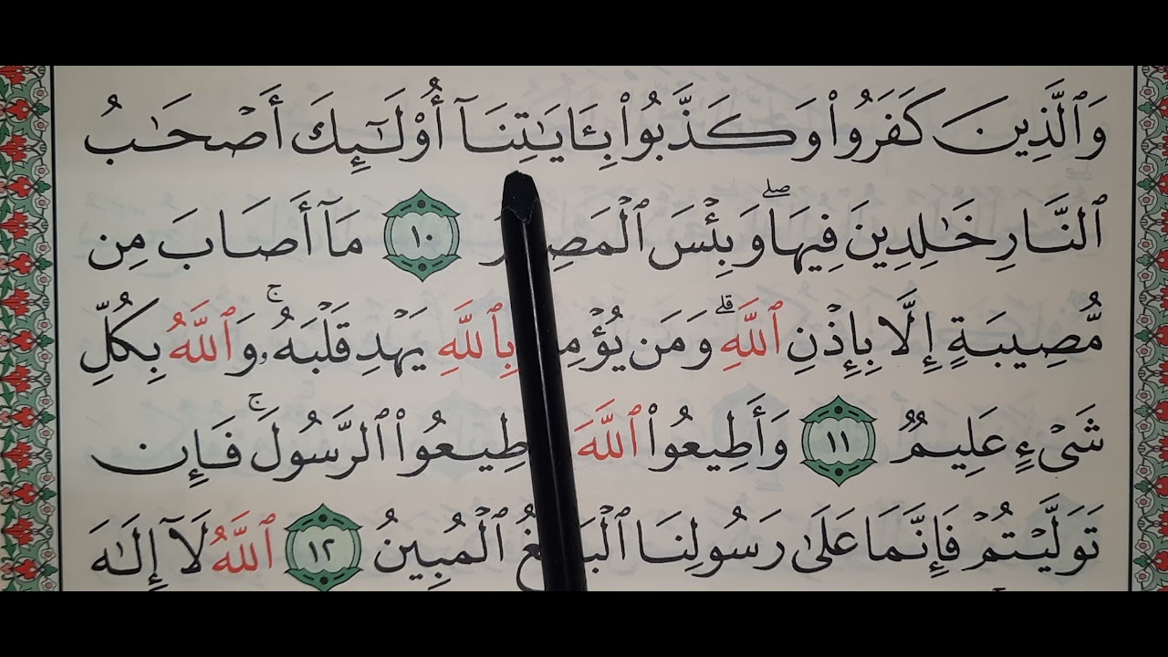 سورة التغابن ١٠_١٤