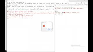 Exception and Assertion