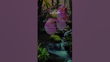 #سورة_التين #قران_كريم #قران_كريم #المصحف #راحة_نفسية #quran #islam