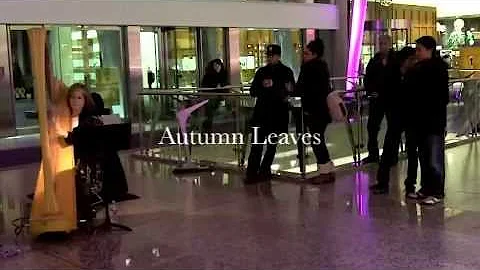 Joanna Jordan, Electric Harp Live Music Video Toro...
