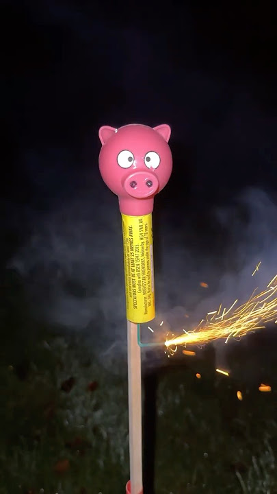 Pigs Can Fly #shorts #firework #newyear