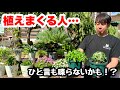 ◆必殺！【ひたすら苗を植えまくる】シリーズ🌿