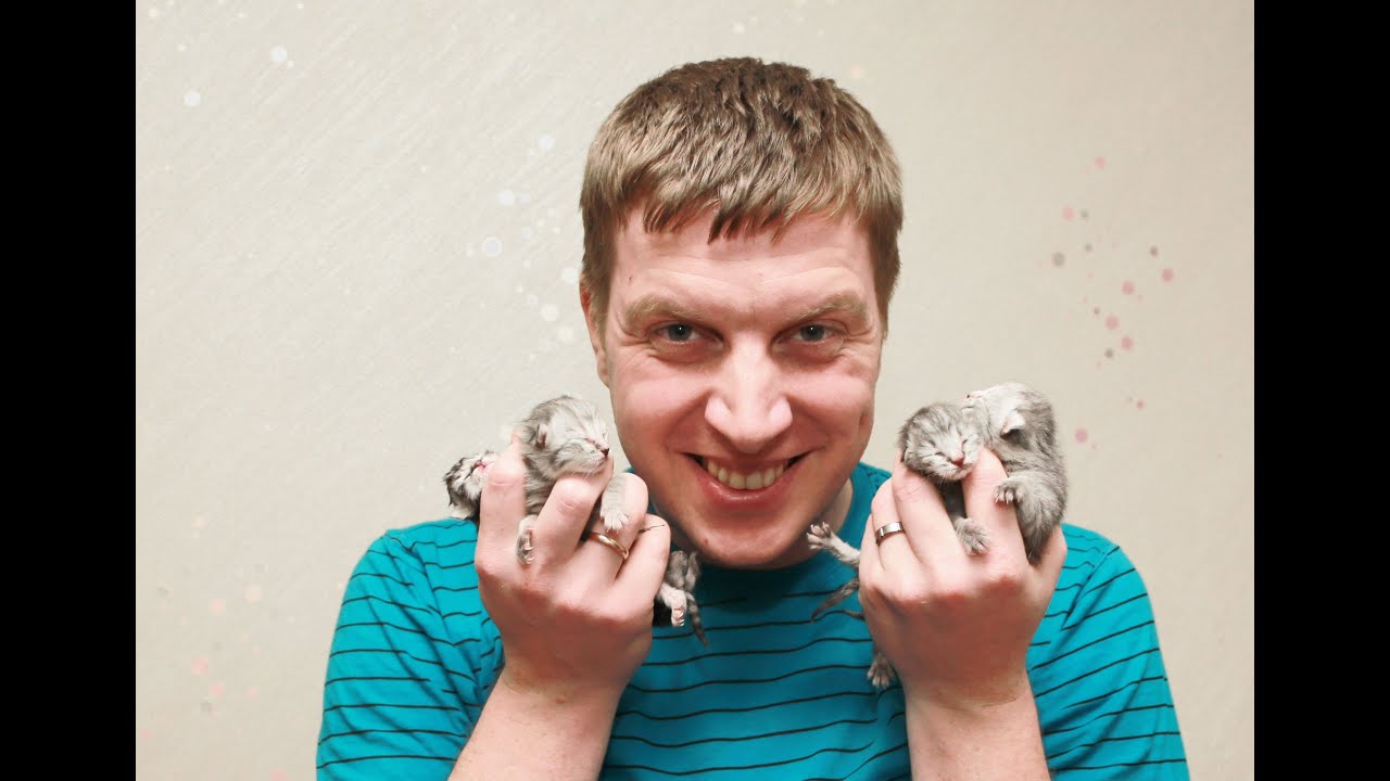 Рождение котёнка.