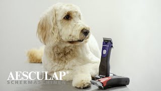 Hundeschur mit der Favorita CLi von Aesculap