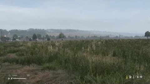 DayZ (Quick scope)
