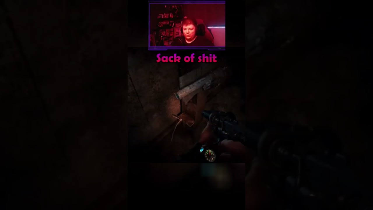 Walking in like Ed Sheeran #funny #livestreaming #metro2033 #survivalhorror #gaming