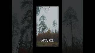 Арканы и Чакры в Матрице Судьбы, подробности в комментариях #матрицасудьбы #чакры #обучение