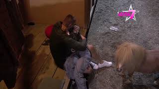 Elita Dok Se Janjuš I Aneli Ljube, Poni Jede Njenu Kosu - 05.05.2024.