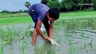 WOW! Amazing Hand Fishing | Traditional Village Boy Catching Fish By Hand in Rainy Water