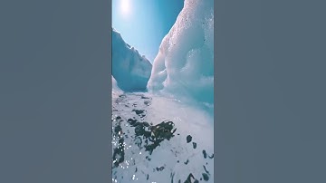 القارئ هشام الهراز