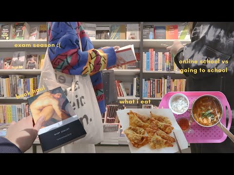 life as a German high school student | vlog