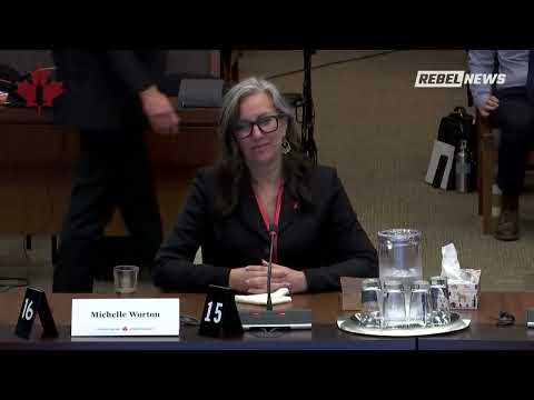 'My life has been destroyed': Allison Inquiry testimony from Michelle Worton