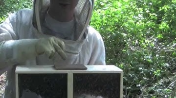 How to Install a Package into a Top Bar Hive