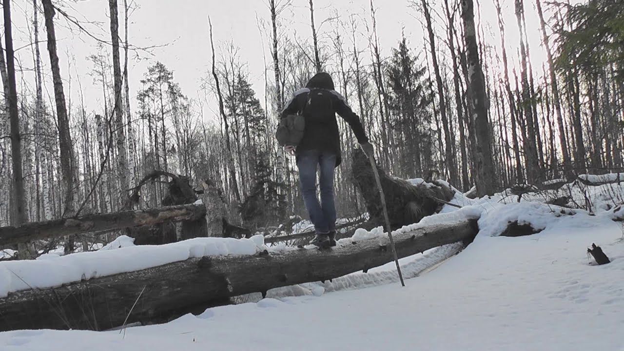 Выход в лес с радио. КВ-пейджер и mini SW-2017. NVIS.CLUB