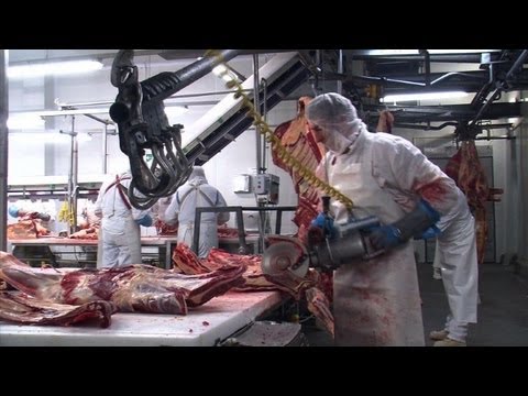 Vídeo: Carne De Cavalo - Propriedades, Benefícios, Uso