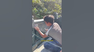 Chốt khu lăng mộ 400tr trong 2h #datamnguyen #tintuc #langmodadep #phongthuy #langmoda #gialangmoda