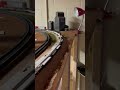 HO Scale Bare Table Train #modelrailroad #shorts