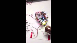 Celebrity Embedded Microprocessor Project Profile