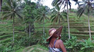 Ceking Rice Terrace