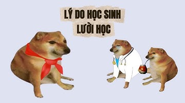Ding Ding memes: Lý do học sinh lười học