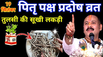 19 सितंबर प्रदोष व्रत के दिन तुलसी की सूखी लकड़ी वाला उपाय जरुर करे || Pradeep Ji Mishra