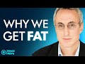 Lose FAT and Get HEALTHY With These Simple WEIGHT LOSS Hacks | Gary Taubes