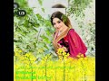     270 استاد سید انور آزاد ددیل مه دیدیمه