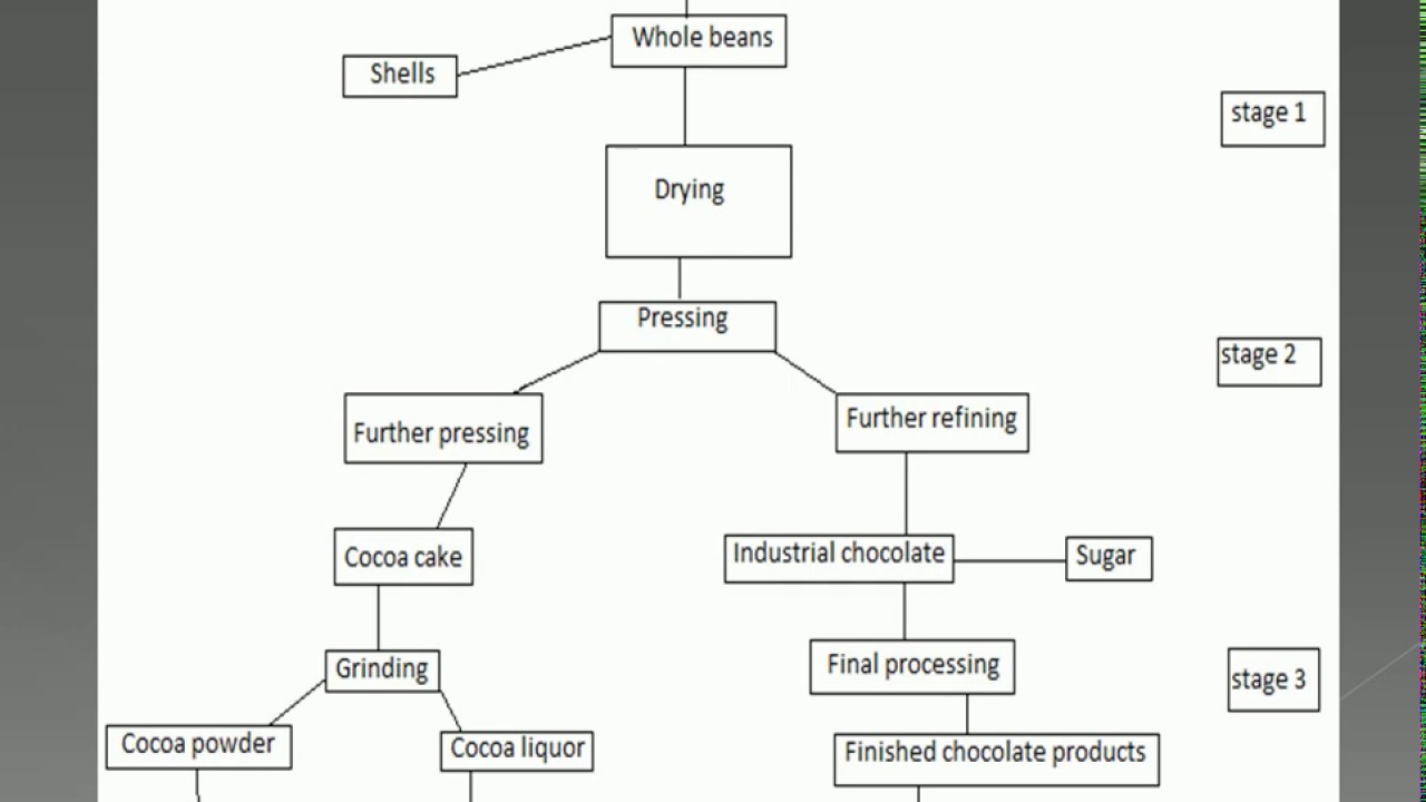 The diagram below shows the stages of processing cocoa beans.