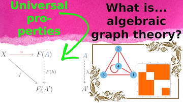 What is...Tutte universality?