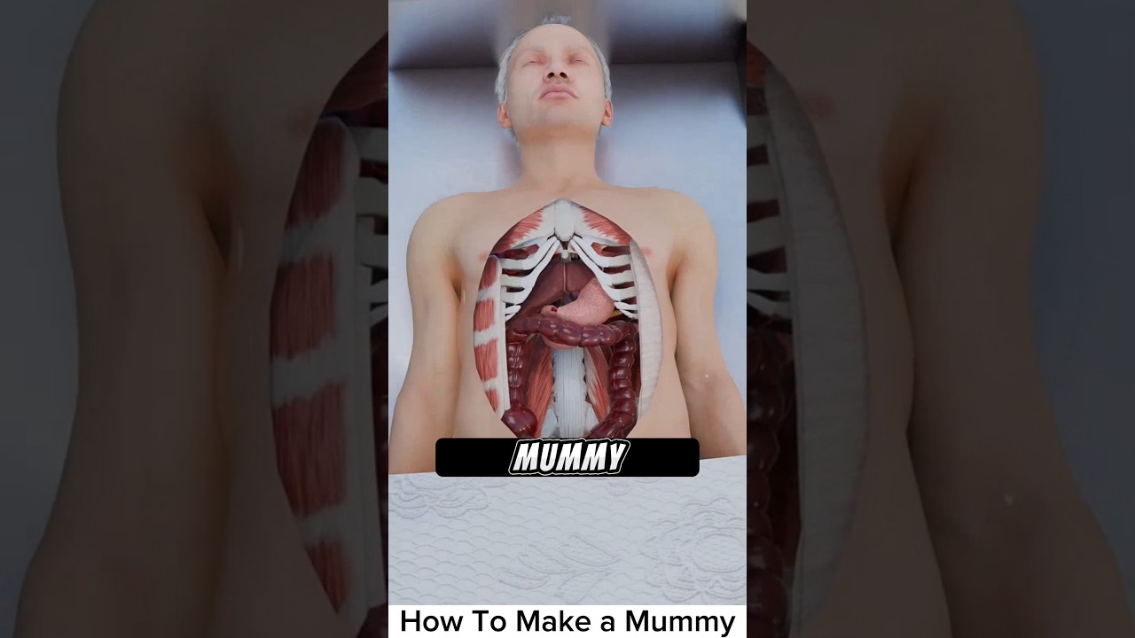 How to Make a Mummy: Step-by-Step Mummification Process!
