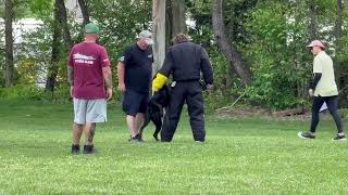 Brie vom Logan Haus 17 months - PDC attack on handler protection scenario.