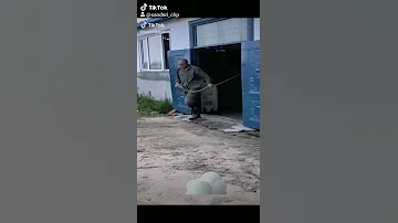 Большая лошадь...а может и конь.