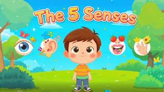 The 5 Senses for Kids | SEE, HEAR, SMELL, TASTE, TOUCH | Fun Learning Cartoon