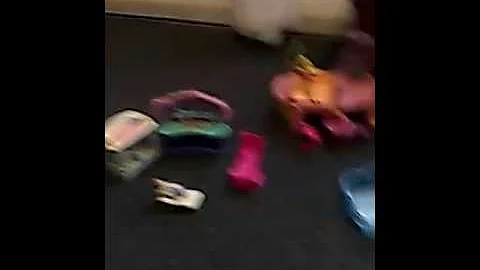 Polly pocket room tours