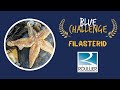 Blue Challenge 2025 - Filasterid, Agro Innovation International (Groupe Roullier)
