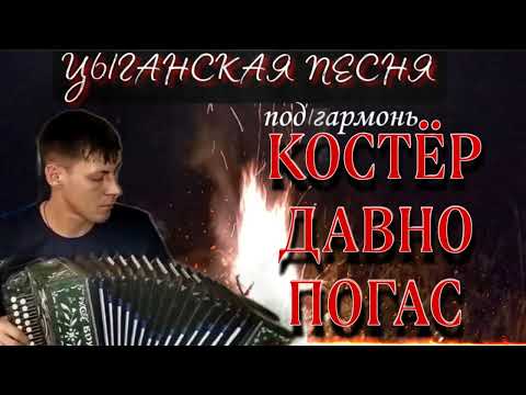 Цыганская Песня Под Гармонь Костёр Давно Погас Исполняет Алексей Кракин