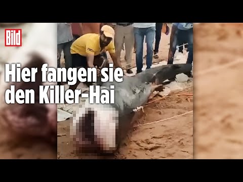 Video: Wie bringt man einen Haifischbiss auf einen Sillcock?