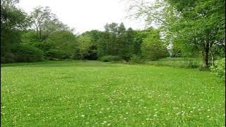 وصلة اردنية محمد رافع حفلة عرس