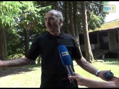 „ქართული ოცნების\" თემატური ჯგუფები