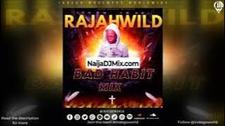Rajah Wild Bad Habit Dancehall Mixtape Jamaica 2024 Latest Mp3 Songs[WWW.NaijaDJMix.COM]