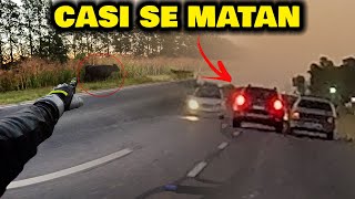 Argentina Es Una Selva: Una Vaca En La Ruta Y El Choque Que Vimos De Frente