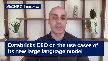 Databricks CEO discusses the use cases of its new open-source large language model