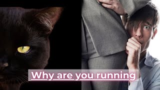Why Your Cat Runs Like Crazy At Nightthe Mystery