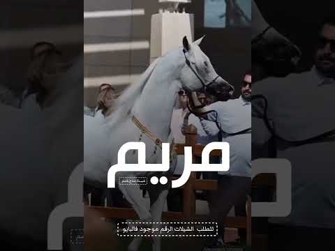 شيلة مدح مريم يامريم انتي كنوز الماس وارباحه اكسبلور مدح جديده