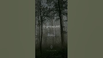 ﷽ ﴿ثُمَّ أَنشأنا من بَعدهم قَرنًا آخَرينَ﴾🌹سورة المؤمنون للقارئ ياسر الدوسري #سورة_المؤمنون #follow